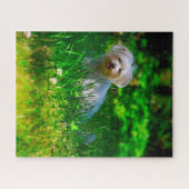 マルチーズ犬の品種。 ジグソーパズル (横)