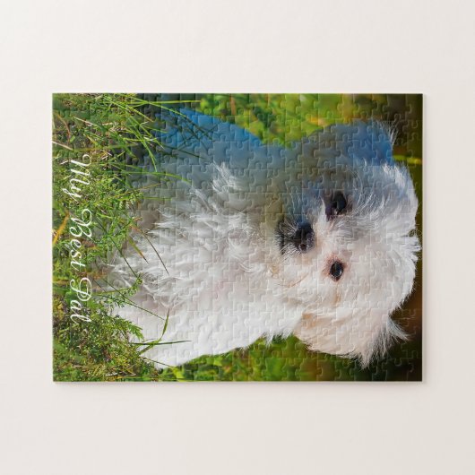 マルチーズ犬の品種。ジグソーパズル ジグソーパズル (横)