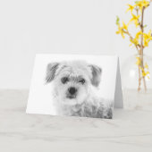 マルチーズ犬グリーティングカード カード (黄色い花)