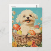マルチーズ犬ヴィンテージイースター ポストカード (正面/裏面)