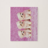 マルチーズ犬;は小さな種類の白い犬である ジグソーパズル (縦)