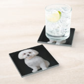 マルチーズ犬 ガラスコースター (アングル)
