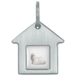 マルチーズ犬 ペットネームタグ