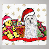 マルチーズ犬 ポスター (正面)