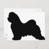 マルチーズ犬 ポストカード (正面/裏面)