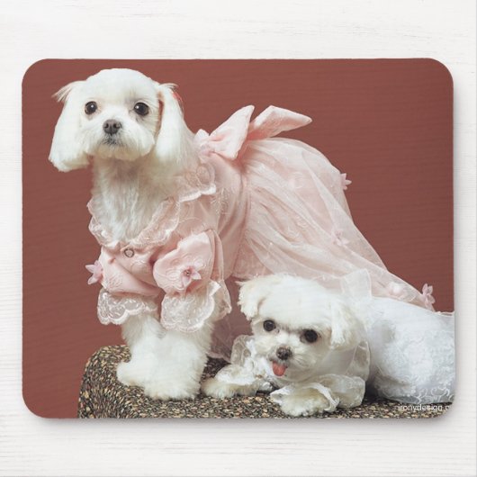 マルチーズ犬 マウスパッド (正面)