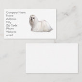 マルチーズ犬 名刺 (正面/裏面)