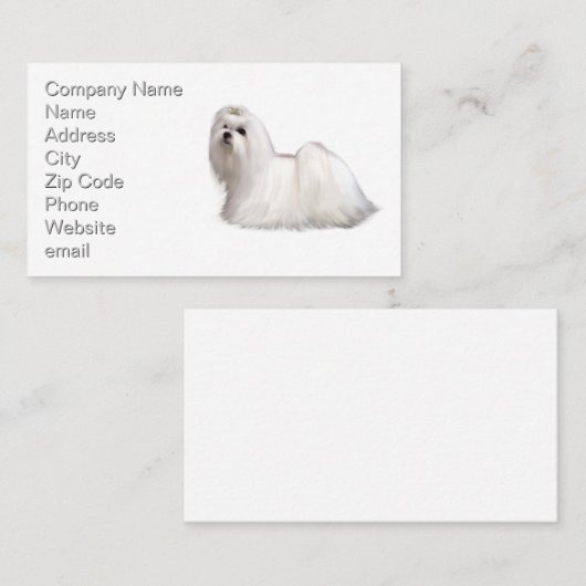 マルチーズ犬 名刺 (正面/裏面)