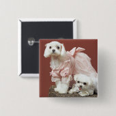 マルチーズ犬 缶バッジ (正面&裏面)