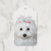 マルチーズ甘味エンジェルオンポーズ ギフトタグ (裏面)