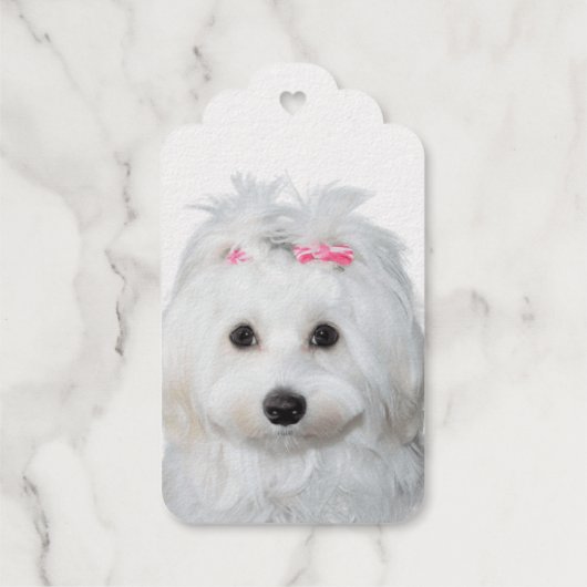 マルチーズ甘味エンジェルオンポーズ ギフトタグ (裏面)