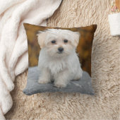 マルチーズ白い子犬の写真 クッション (ブランケット)