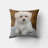 マルチーズ白い子犬の写真 クッション (裏面)