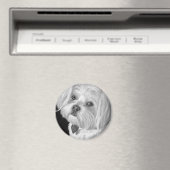 マルチーズ磁石 マグネット (インサイチュ (食洗機))