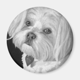 マルチーズ磁石 マグネット