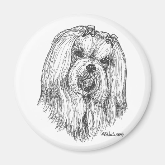 マルチーズ磁石 マグネット (正面)