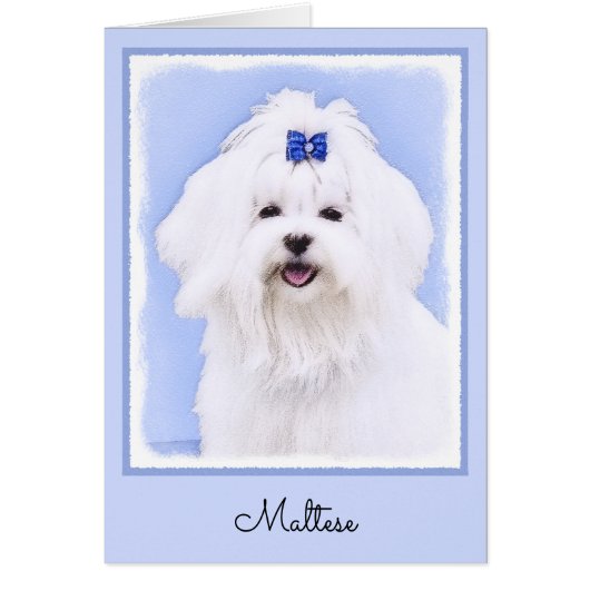 マルチーズ絵画ズ – かわいいオリジナルドッグアート (正面)