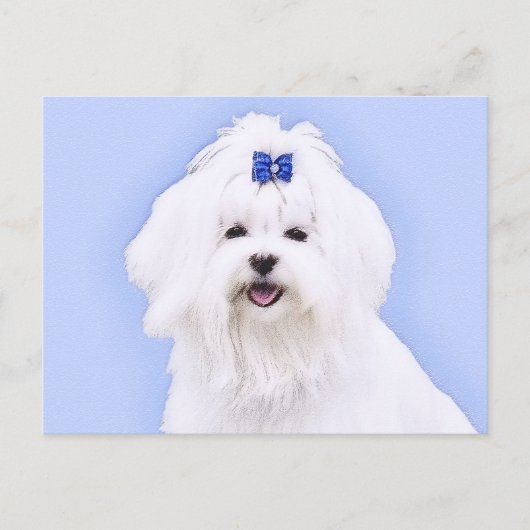 マルチーズ絵画ズ – かわいいオリジナルドッグアート ポストカード (正面)