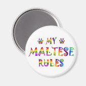 マルチーズ規則おもしろい マグネット (正面/裏面)