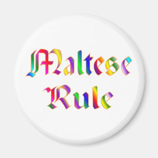 マルチーズ規則 マグネット