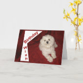 マルチーズ誕生日ウィッシュグリーティングカード カード (黄色い花)