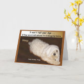 マルチーズ誕生日ユーモアカード カード (黄色い花)