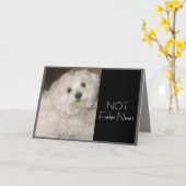 マルチーズ誕生日ユーモア誰でも カード (黄色い花)