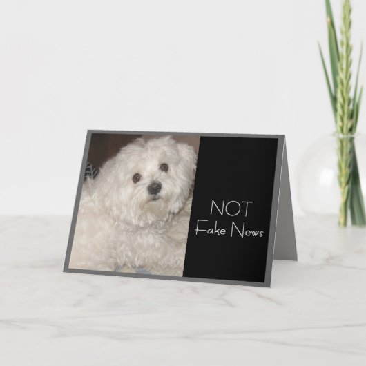 マルチーズ誕生日ユーモア誰でも カード (正面)