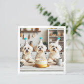 マルチーズ誕生祝い、マルチーズ犬 招待状 (スタンド正面)