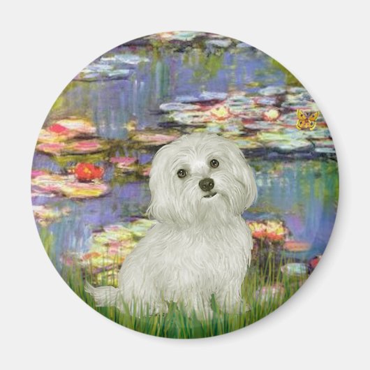 マルチーズ11リリー2 マグネット (正面)