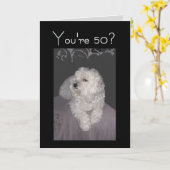 マルチーズ50番目の誕生日カード カード (黄色い花)