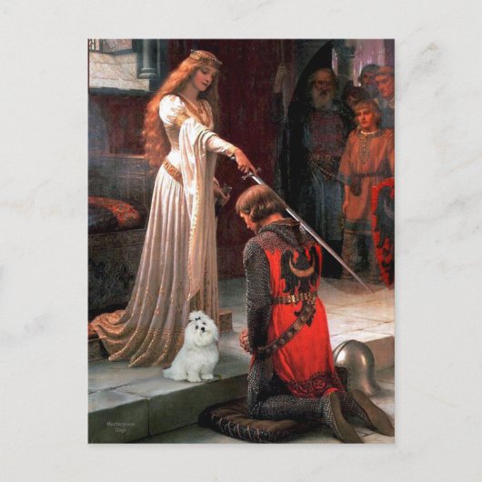 マルチーズ6 – ザアクコラード ポストカード (正面)