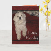 マルチーズ「あなたはまだちょうど子犬」のバースデー・カード カード (黄色い花)