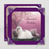 マルチーズ&さくらんぼブロッサムパークパープルフレーム 招待状 (正面/裏面)