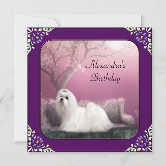 マルチーズ&さくらんぼブロッサムパークパープルフレーム 招待状 (正面)