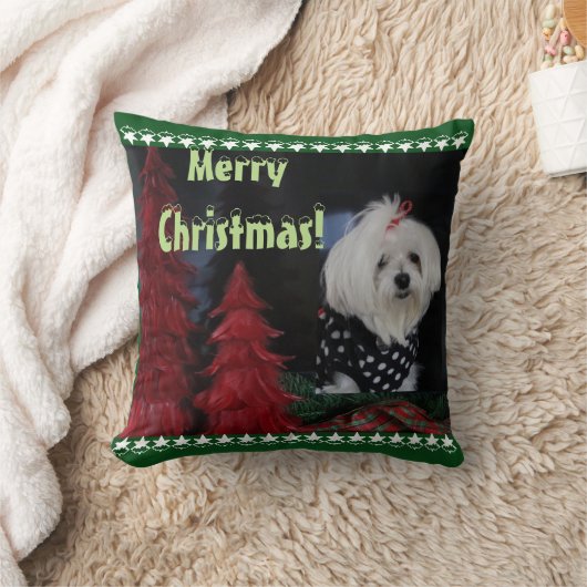 マルチーズ クッション (ブランケット)