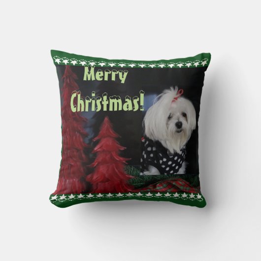 マルチーズ クッション (正面)