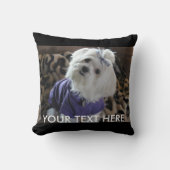 マルチーズ クッション (正面)