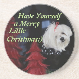 マルチーズ コースター