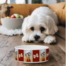 マルチーズ+シースー ミックス犬 マロン骨柄ドッグボウル