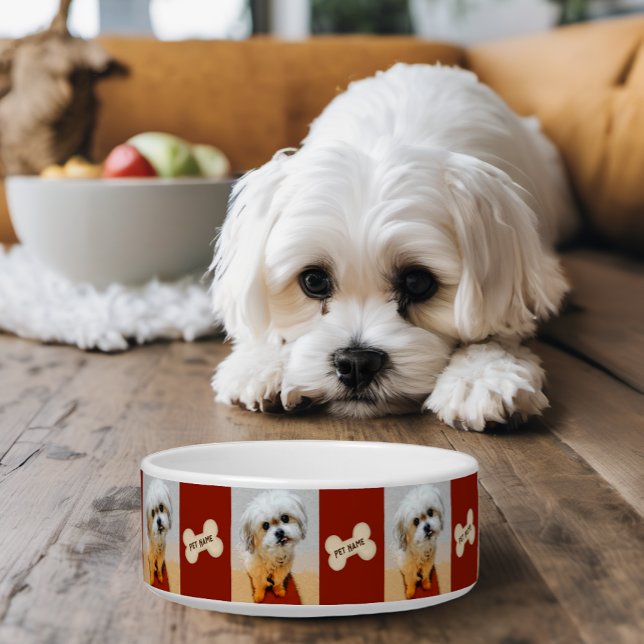 マルチーズ+シースー ミックス犬 マロン骨柄ドッグボウル ボウル (Doug bowl with images and personalized text.)