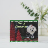 マルチーズ シーズンポストカード (スタンド正面)