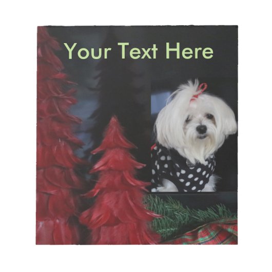 マルチーズ ノートパッド (正面)