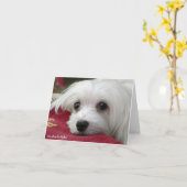 マルチーズ・ノート・カードのスノードロップ カード (黄色い花)