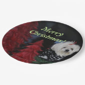 マルチーズ ペーパープレート (アングル)