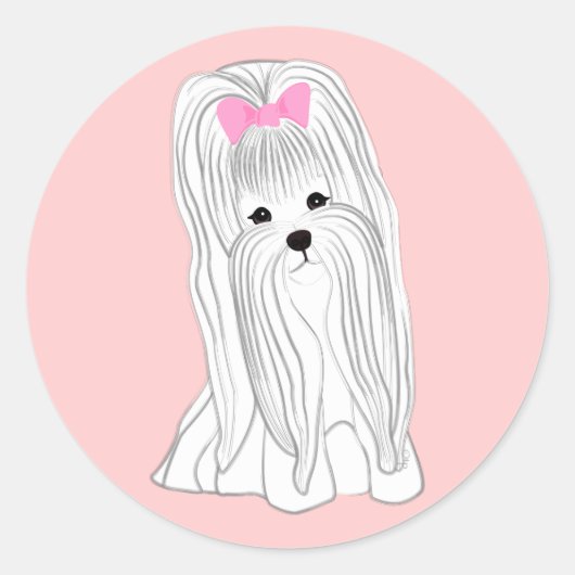 マルチーズ ラウンドシール (正面)