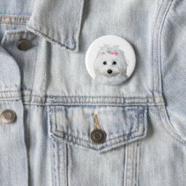 マルチーズ、白い愛らしい子犬の疑問に思 缶バッジ