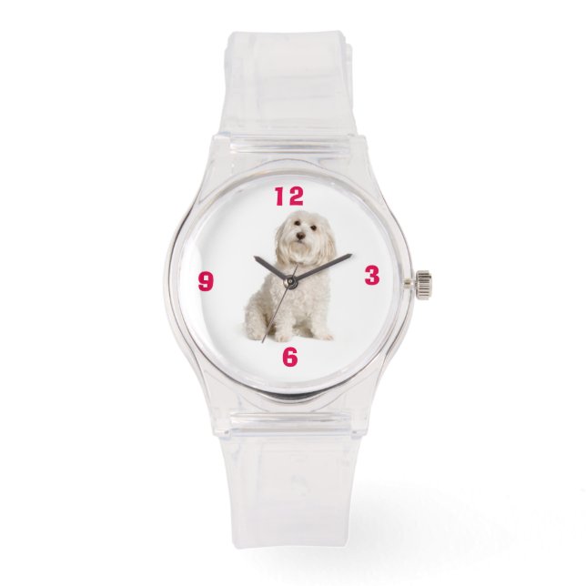 マルチーズ 腕時計 (正面)