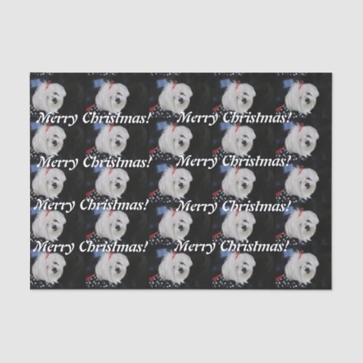 マルチーズ 薄葉紙 (正面)