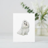 マルチーズ(A) – トップノッチ付 ポストカード (スタンド正面)